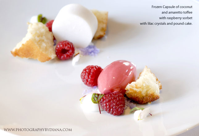     photo of: Ken Oringer -  Frozen Capsule of coconut and amaretto toffee with raspberry sorbet with lilac crystals and pound cake.  