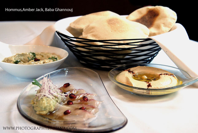 ** This photograph is copyrighted and protected, visit www.photographybydiana.com for more information  **    photo of Philippe Massoud: Hommus,Amber Jack, Baba Ghannouj 